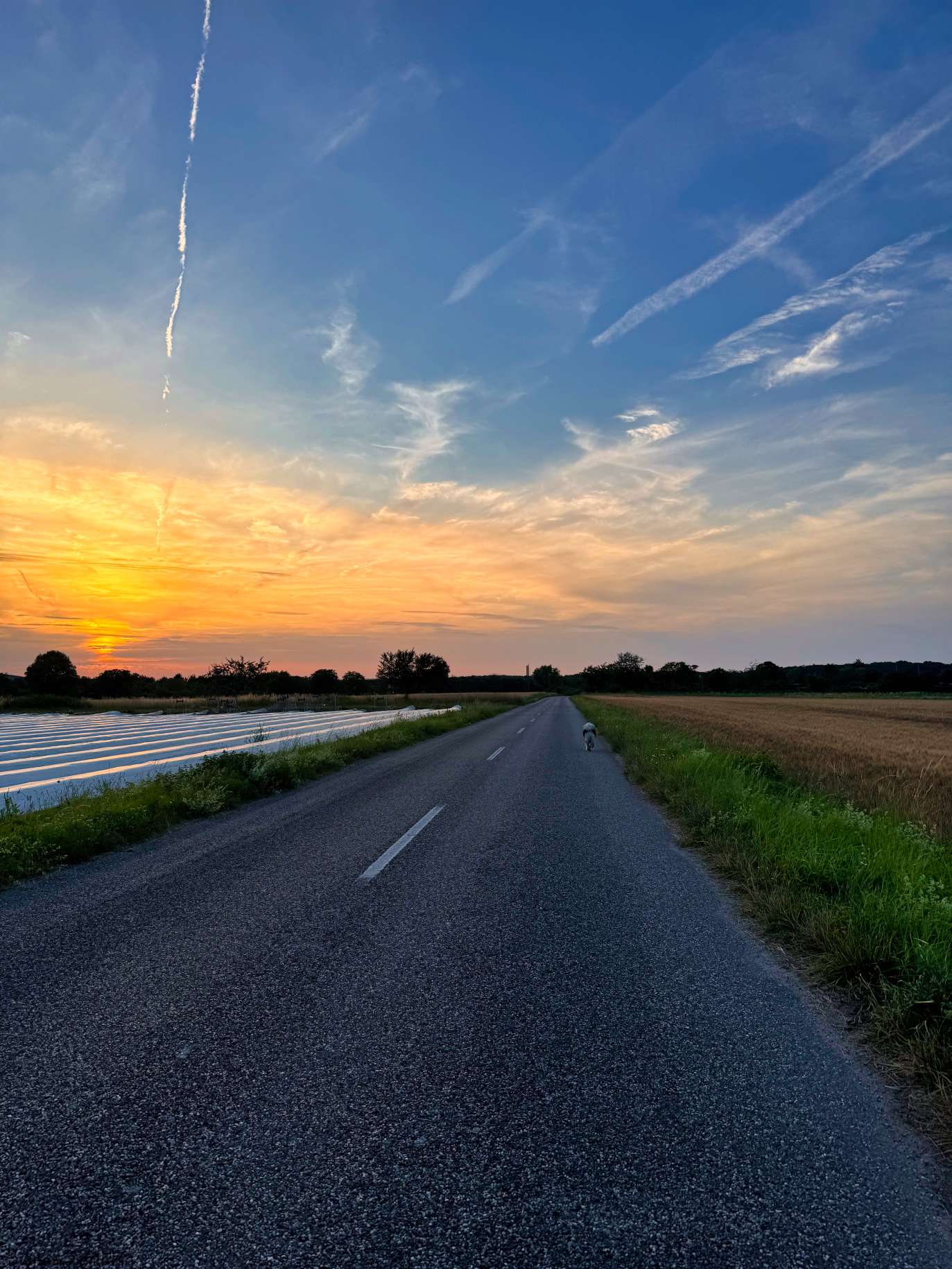 Abendspaziergang bei 29°